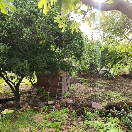 Apartamento La Casa Di Nonna Ida Estrómboli Exterior foto