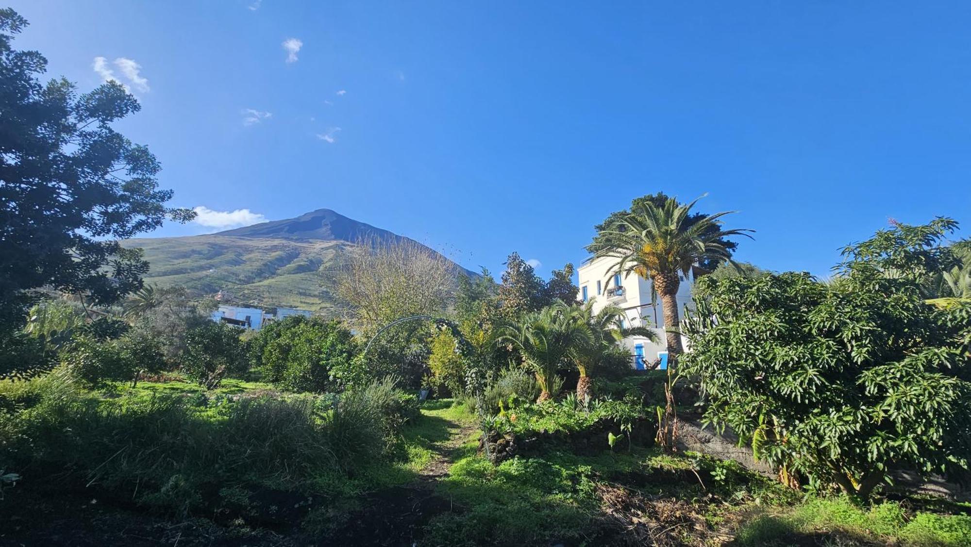 Apartamento La Casa Di Nonna Ida Estrómboli Exterior foto