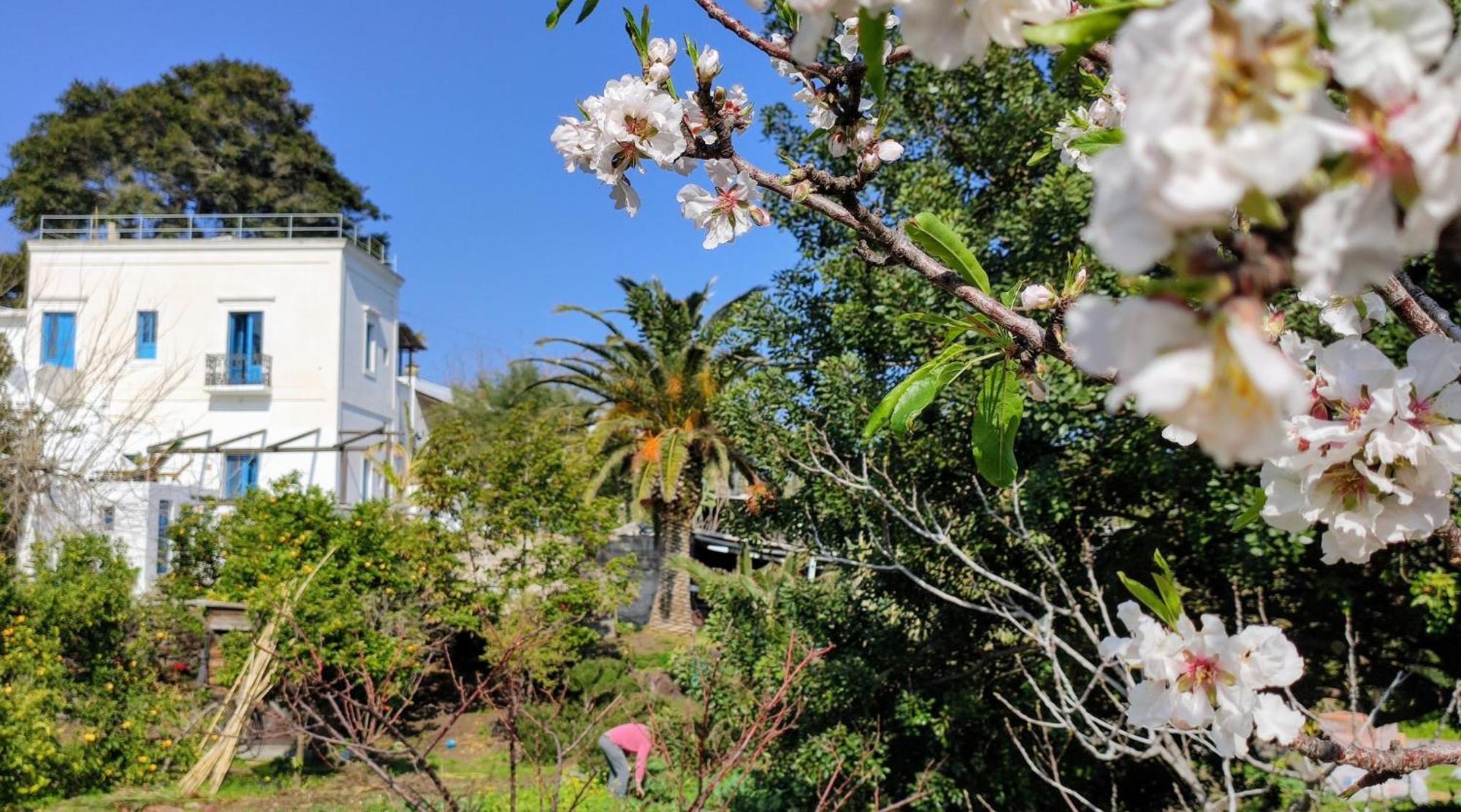 Apartamento La Casa Di Nonna Ida Estrómboli Exterior foto